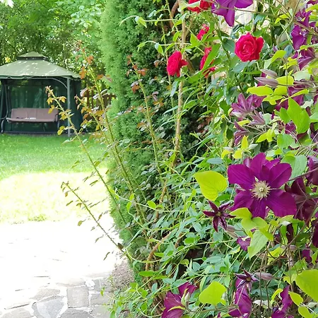 빌라 добреви