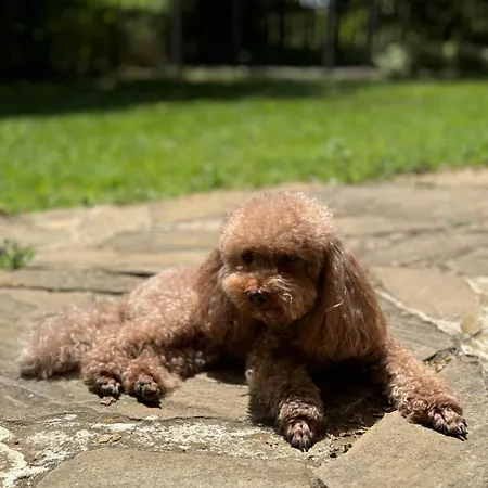 добреви 빌라 Batishnitsa