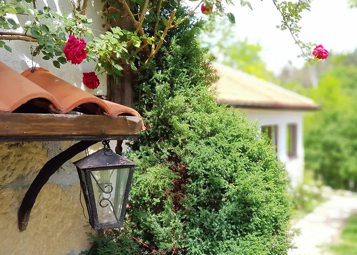 فيلة добреви