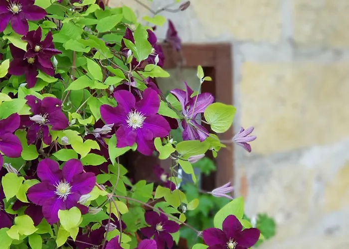 добреви Batishnitsa