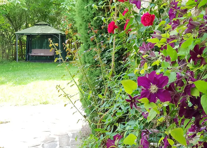 فيلة добреви