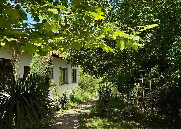 فيلة добреви *